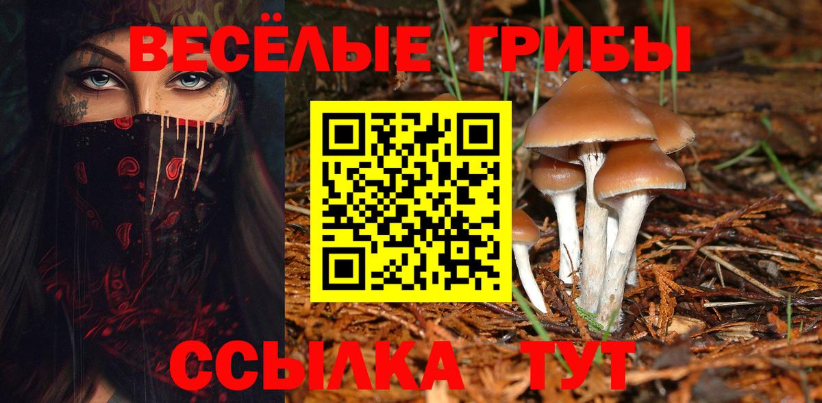 Псилоцибиновые грибы Psilocybine cubensis Кувандык