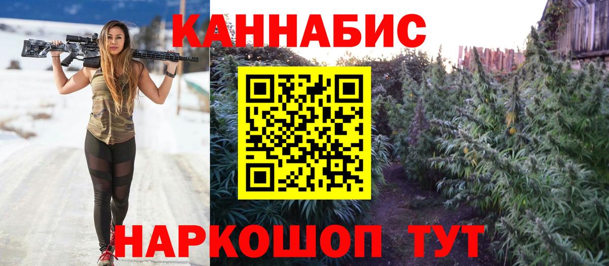 МАРИХУАНА сатива Кувандык